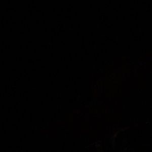 Meet your Posher, Brijae